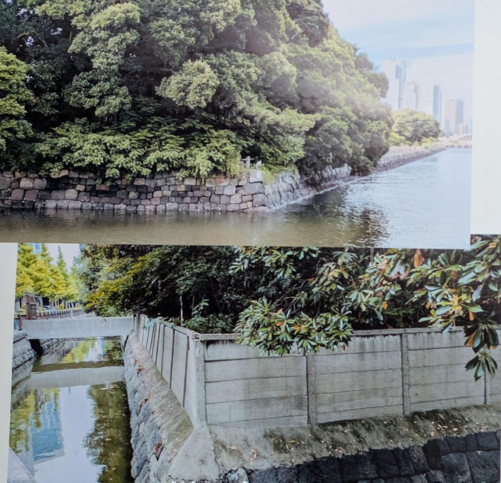  中央区の端　水に囲まれた街