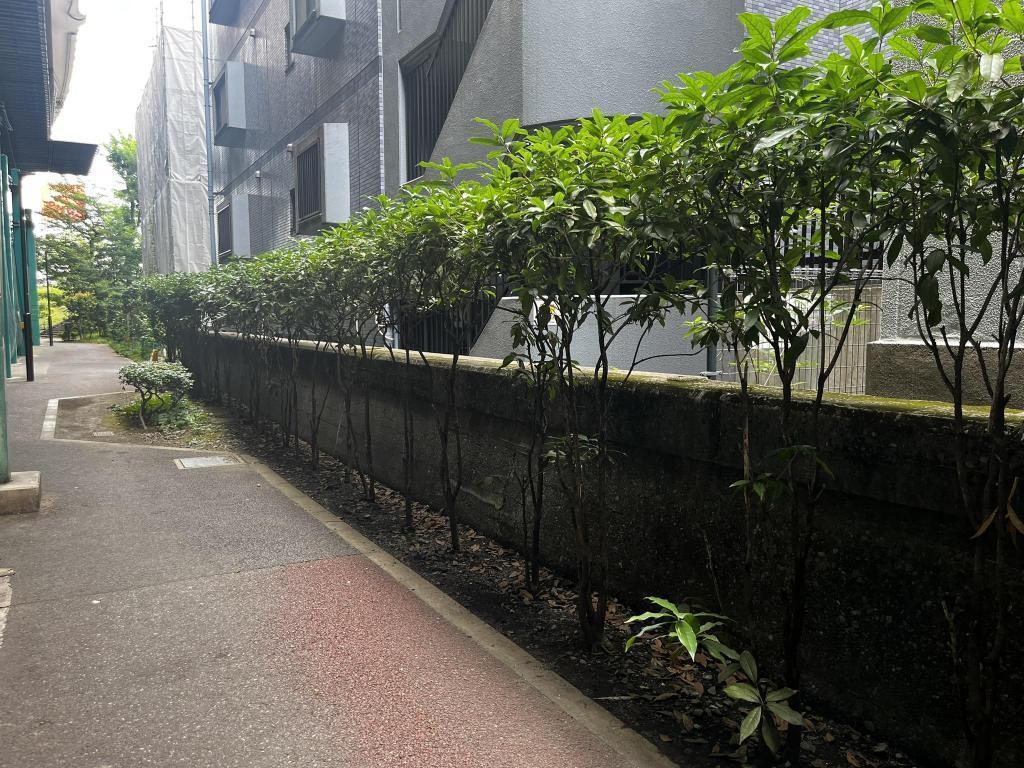 あやめ公園に残る護岸 なかすをさがすのまき