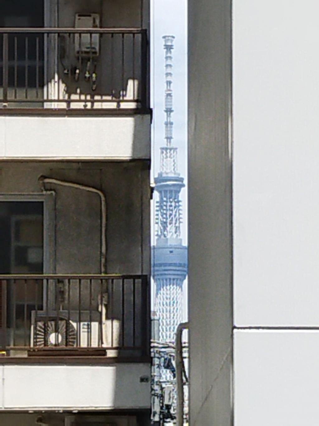  「中央区とのご縁：べらぼう〜蔦重栄華乃夢噺〜⑱」
～薬研堀（薬研堀不動院）：礒田湖龍斎（いそだこりゅうさい）（演：鉄拳）～