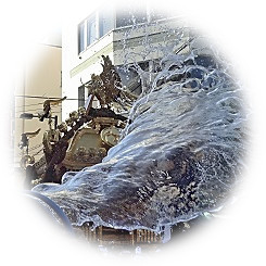  2025 清め水を浴び黄金色に輝く