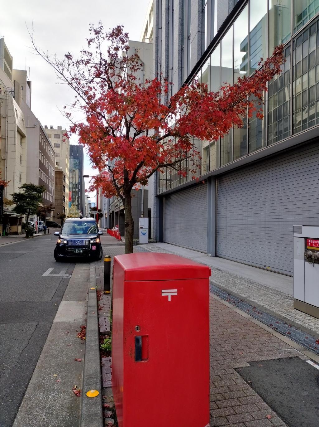  「中央区とのご縁：べらぼう〜蔦重栄華乃夢噺〜㊲」
～久安橋（旧：越中殿橋）、浴恩園（旧築地市場跡地）：松平定信（まつだいらさだのぶ）（演：井上祐貴）～