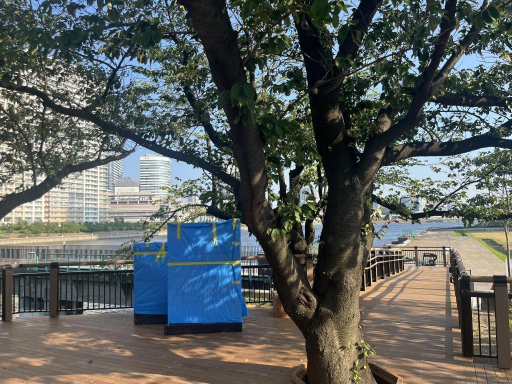 ウッドデッキが橋に続いてます 続・旧「晴海鉄道橋」の遊歩道　まもなく開通 Part2　※9/8追記部分を追加しました。