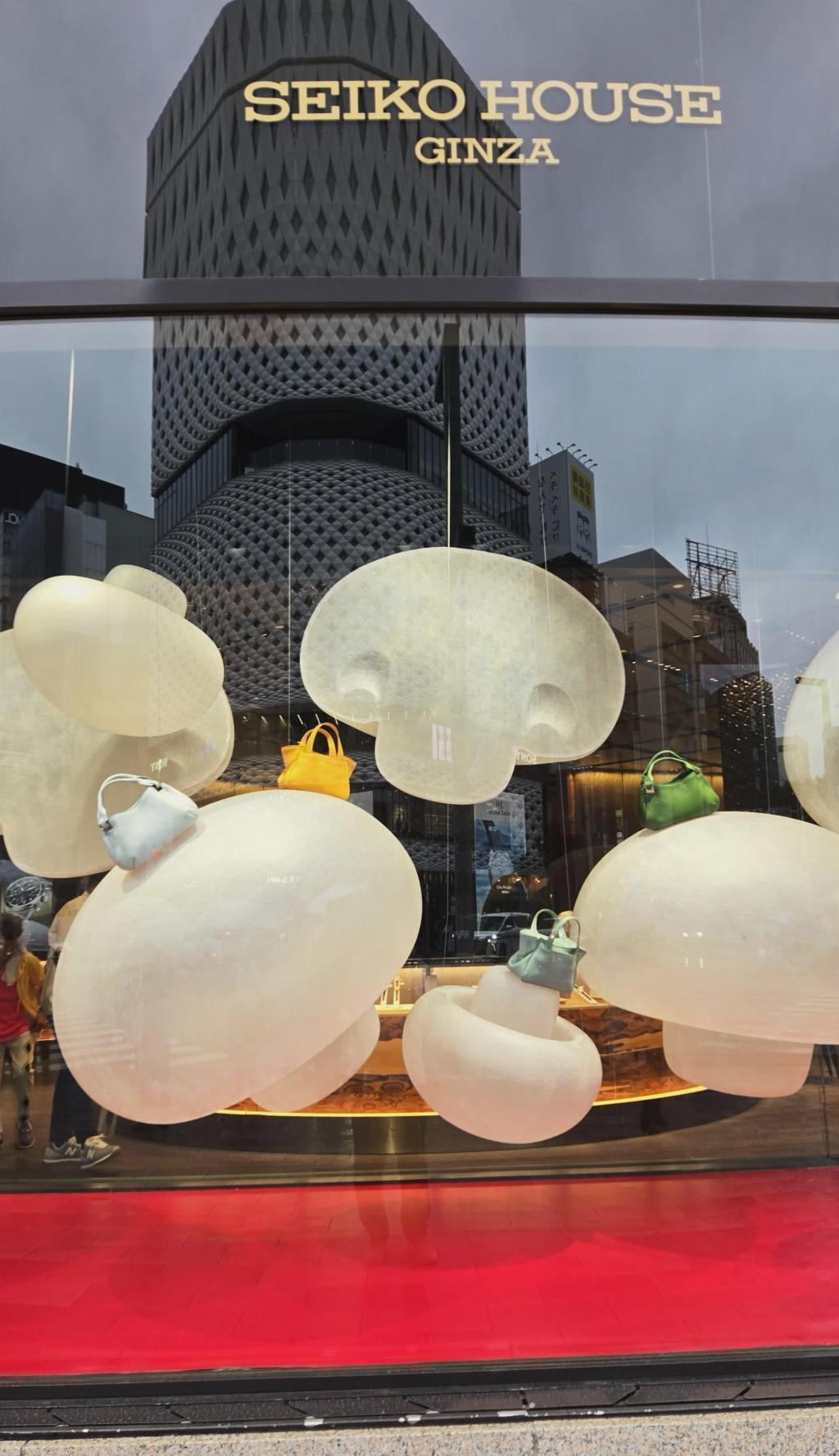  「SEIKO HOUSE 銀座」雨にきのこが生き生きと。