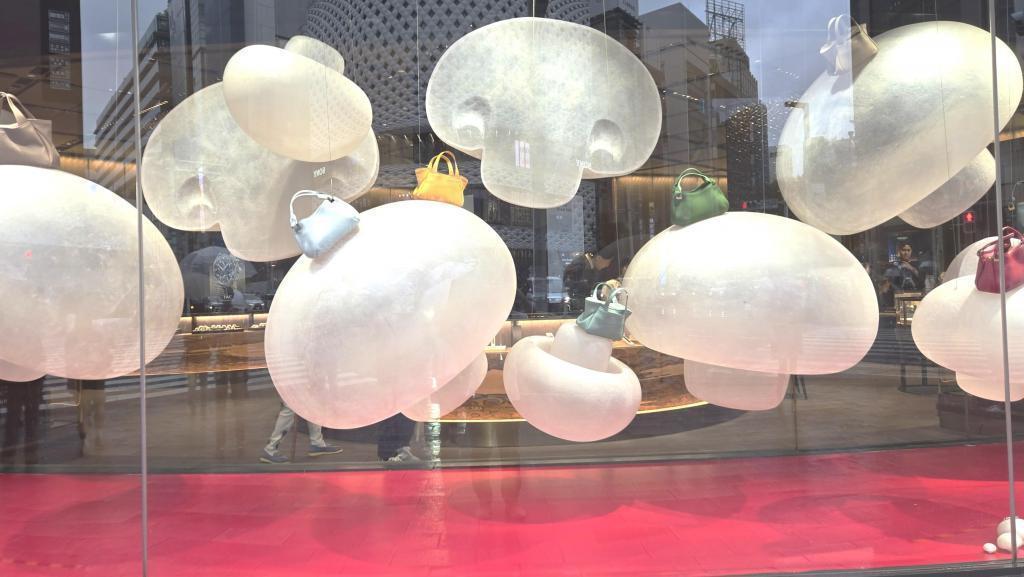  「SEIKO HOUSE 銀座」雨にきのこが生き生きと。