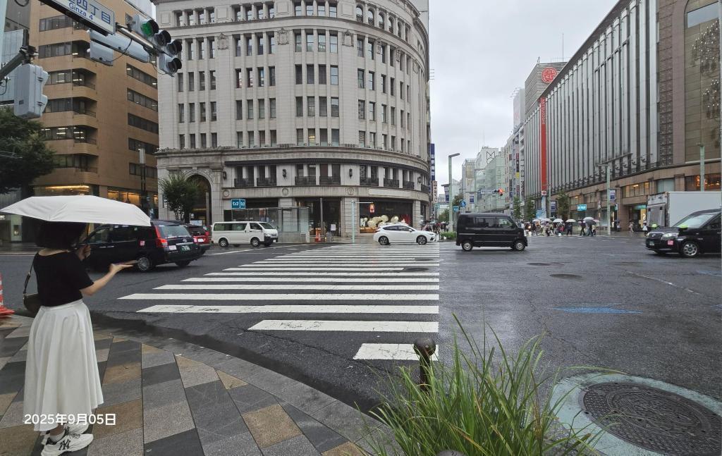  「SEIKO HOUSE 銀座」雨にきのこが生き生きと。