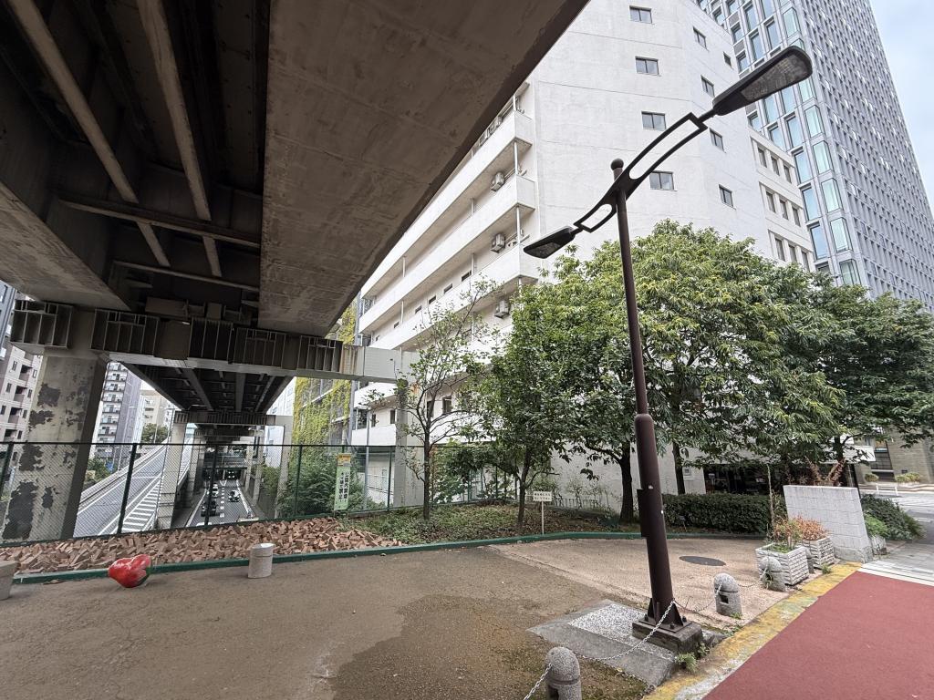  宝町の栗　今年は豊作です。