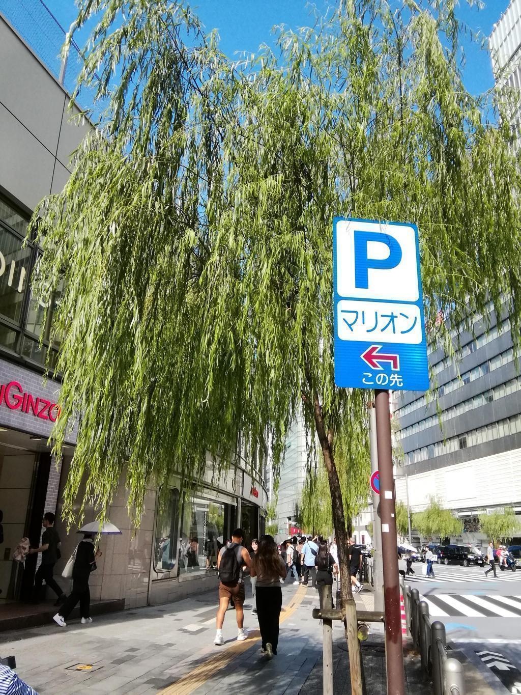 外堀通り（西銀座通り）の「銀座の柳」 銀座は今日も酷暑
　　p.s.　ロバート・レッドフォードさん逝去
　　～　区境の風景　③　～