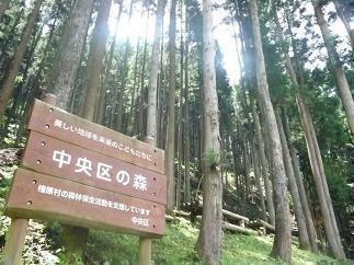 中央区には森がある！　【展示】中央区の森 秋の中央区はイベント盛りだくさん！
＜中央区立環境情報センター「エコノバ」をご存知ですか＞
子ども向けイベント「オータム森フェス2025」　10月11日(土)～13日(月・祝) 開催
【事前申込締切：10月2日（木）】（参加費無料）