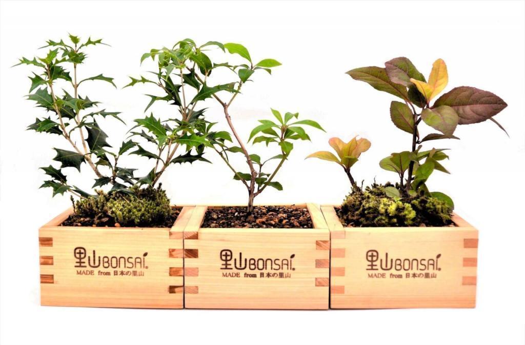  秋の中央区はイベント盛りだくさん！
＜中央区立環境情報センター「エコノバ」をご存知ですか＞
子ども向けイベント「オータム森フェス2025」　10月11日(土)～13日(月・祝) 開催
【事前申込締切：10月2日（木）】（参加費無料）