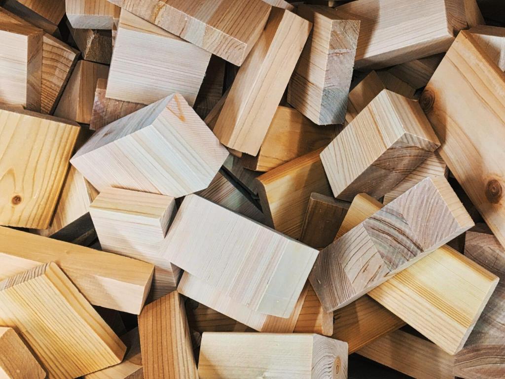  秋の中央区はイベント盛りだくさん！
＜中央区立環境情報センター「エコノバ」をご存知ですか＞
子ども向けイベント「オータム森フェス2025」　10月11日(土)～13日(月・祝) 開催
【事前申込締切：10月2日（木）】（参加費無料）