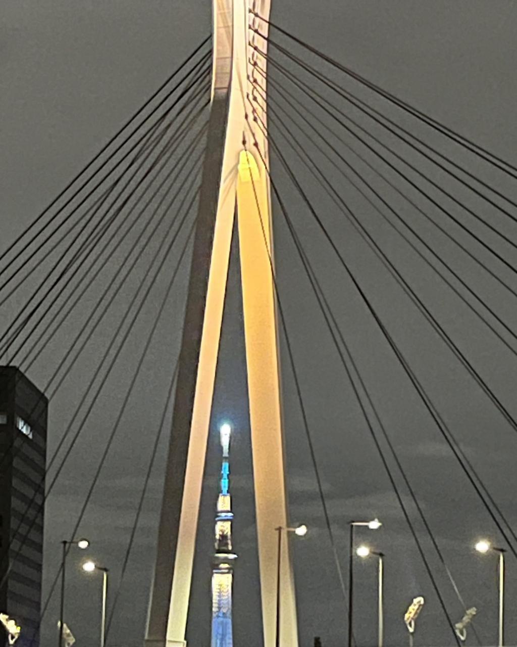  TABINA主催「お月見クルーズ」乗船報告
