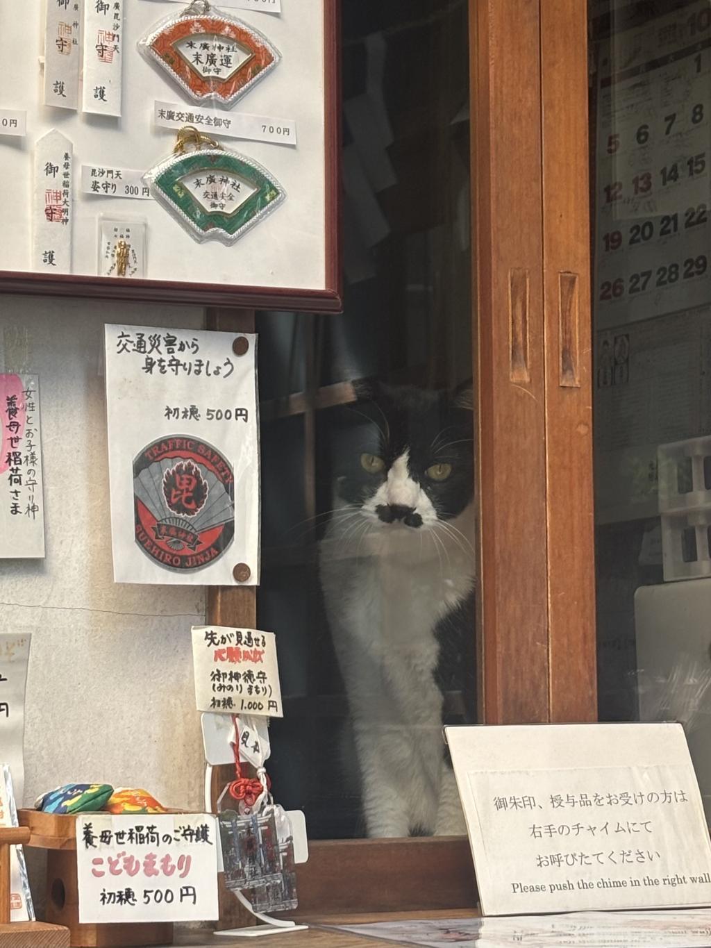参拝者を見守る龍 また龍に会えた❣️ 
人形町　末廣神社⛩️の龍