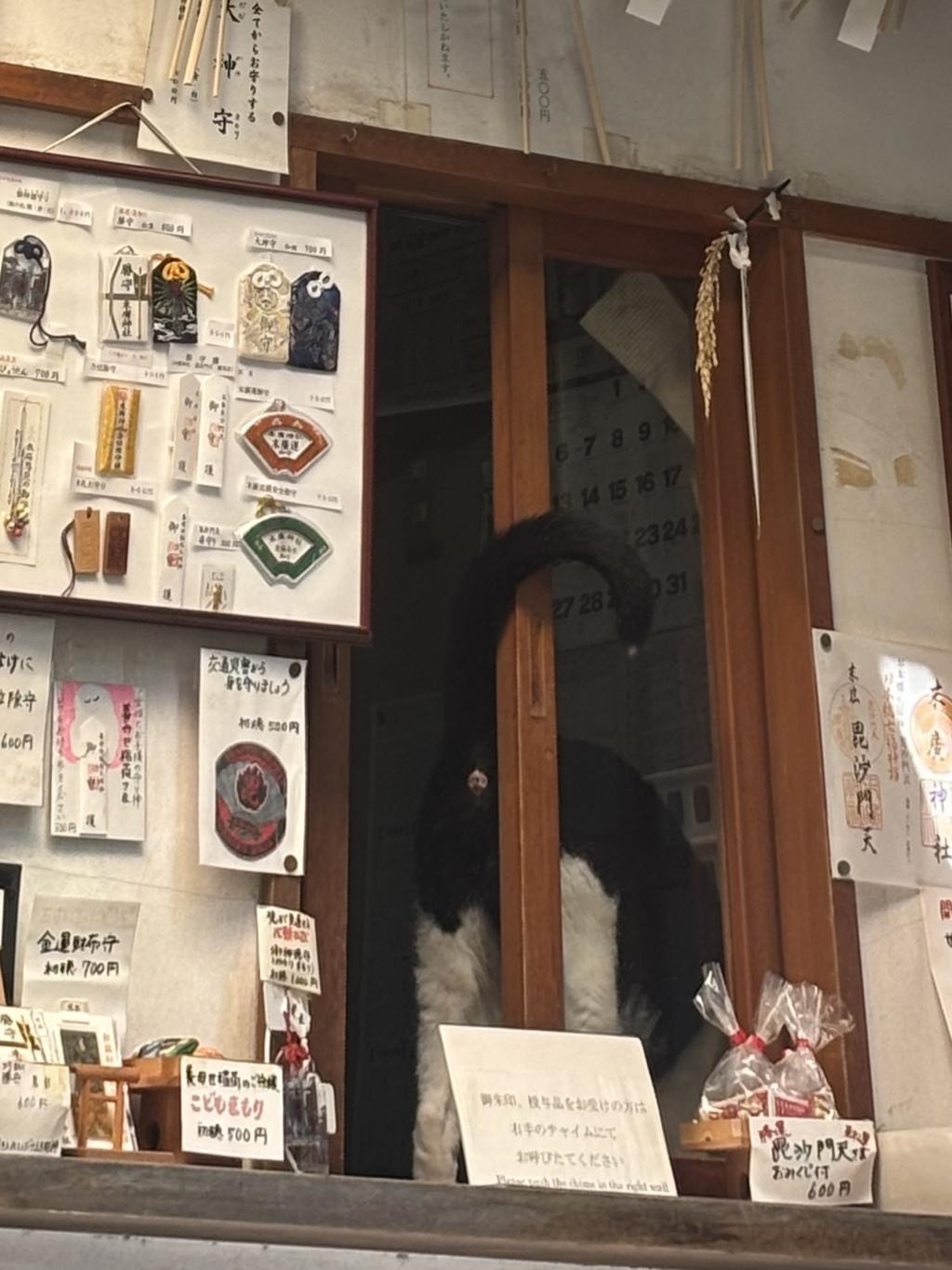 龍、尻尾で「じゃあね！」って言ってくれている。 また龍に会えた❣️ 
人形町　末廣神社⛩️の龍