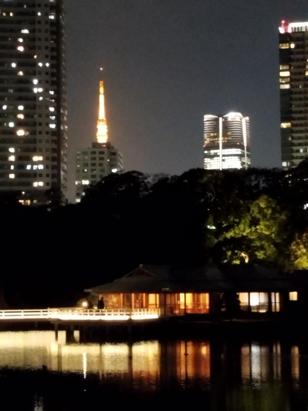 中央区：秋のイベント 秋の中央区はイベント盛りだくさん！
「第18回 中央区まるごとミュージアム 2025」　11月9日（日）開催