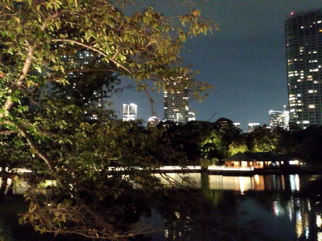  秋の中央区はイベント盛りだくさん！
【浜離宮でお月見散歩 ～将軍の御庭で栗名月を愛でる～】10月31日(金)～11月5日(水)
【