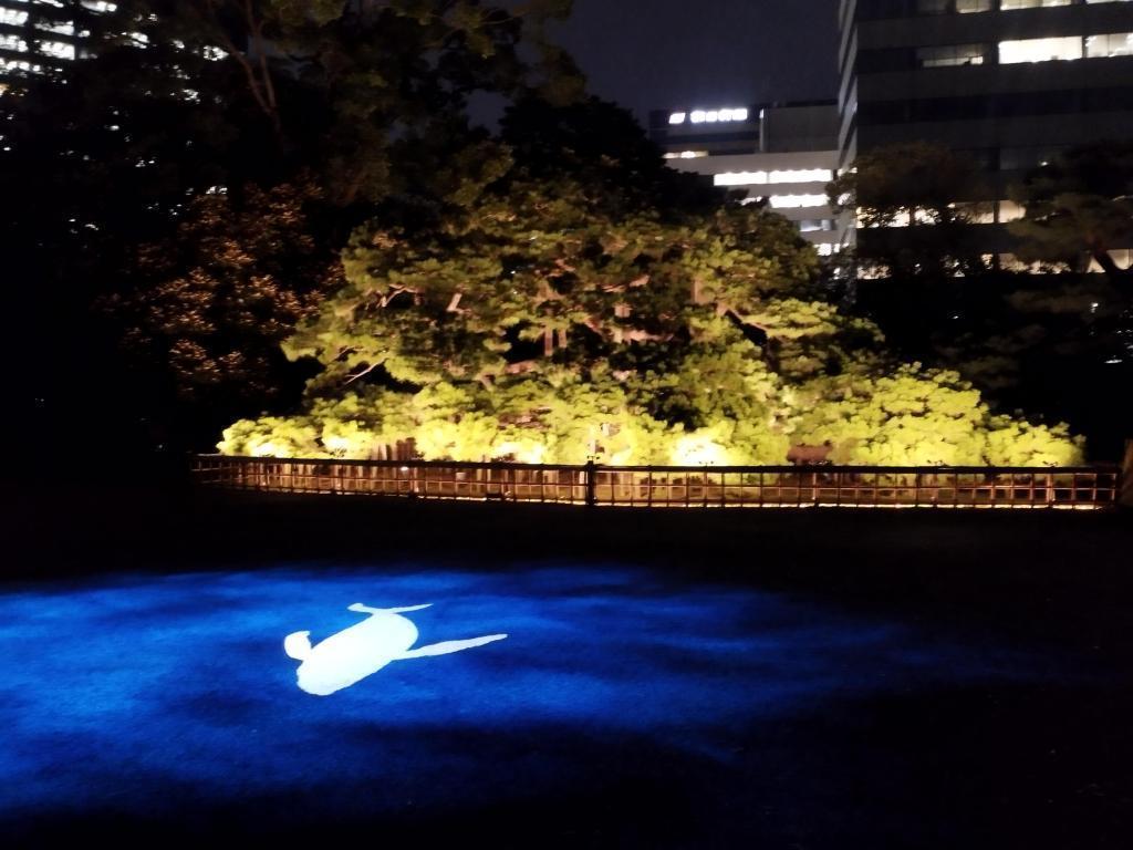  秋の中央区はイベント盛りだくさん！
【浜離宮でお月見散歩 ～将軍の御庭で栗名月を愛でる～】10月31日(金)～11月5日(水)
【