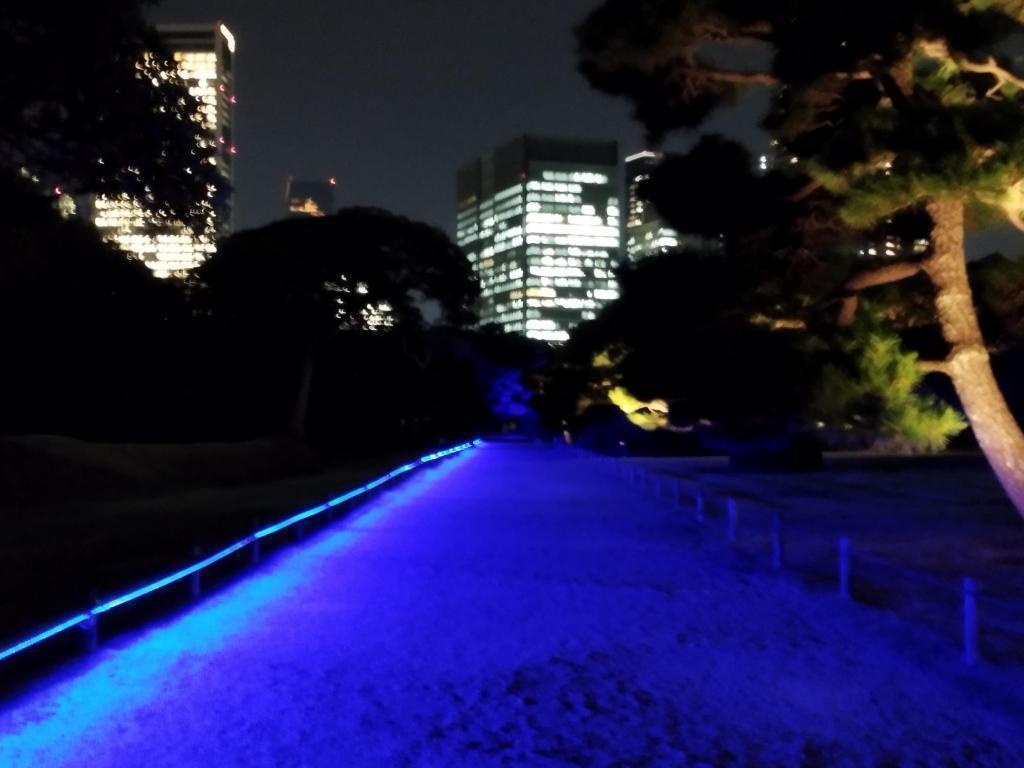  秋の中央区はイベント盛りだくさん！
【浜離宮でお月見散歩 ～将軍の御庭で栗名月を愛でる～】10月31日(金)～11月5日(水)
【