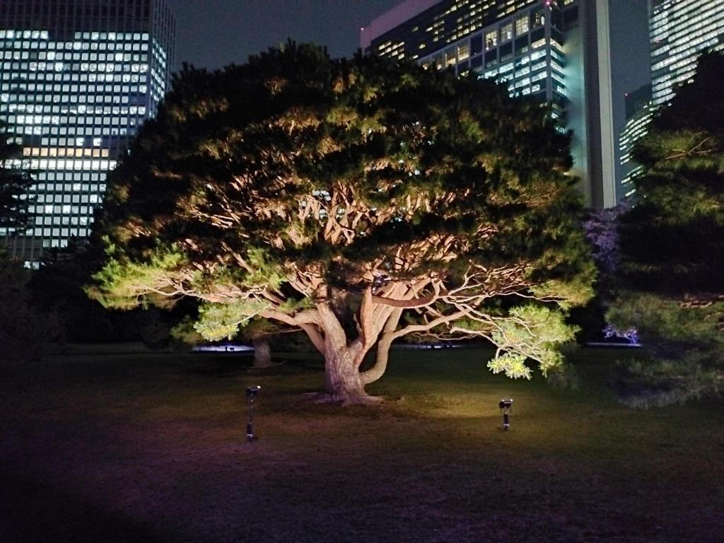  秋の中央区はイベント盛りだくさん！
【浜離宮でお月見散歩 ～将軍の御庭で栗名月を愛でる～】10月31日(金)～11月5日(水)
【