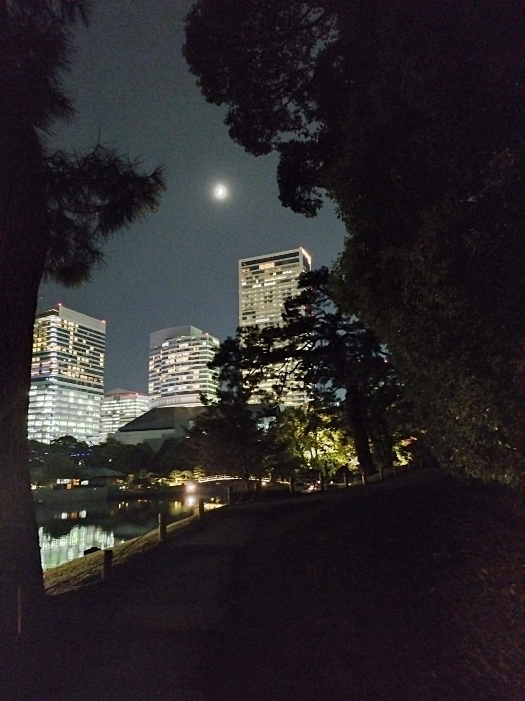  秋の中央区はイベント盛りだくさん！
【浜離宮でお月見散歩 ～将軍の御庭で栗名月を愛でる～】10月31日(金)～11月5日(水)
【