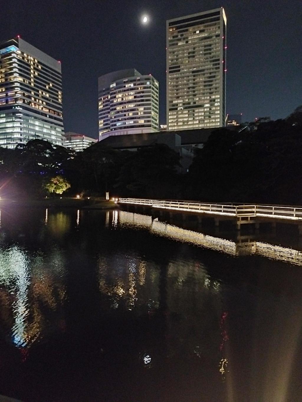  秋の中央区はイベント盛りだくさん！
【浜離宮でお月見散歩 ～将軍の御庭で栗名月を愛でる～】10月31日(金)～11月5日(水)
【