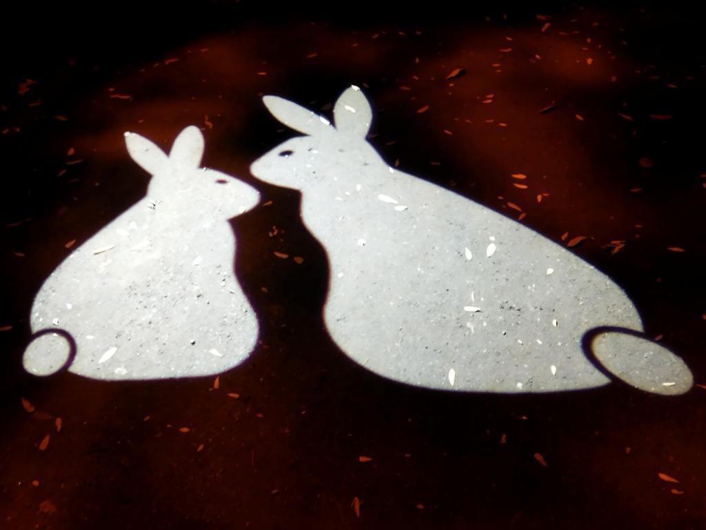  秋の中央区はイベント盛りだくさん！
【浜離宮でお月見散歩 ～将軍の御庭で栗名月を愛でる～】10月31日(金)～11月5日(水)
【