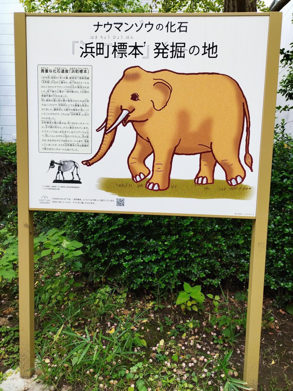  「中央区とのご縁：べらぼう〜蔦重栄華乃夢噺〜㉘」
～賀茂真淵（日本橋浜町）：加藤千蔭（演：中山秀征）、松平定信（演：井上祐貴）～
第28話 ＆ 第29話は第41話の伏線でした！　第29話「艶二郎」と第41話「加藤千蔭」とのご縁もご紹介します