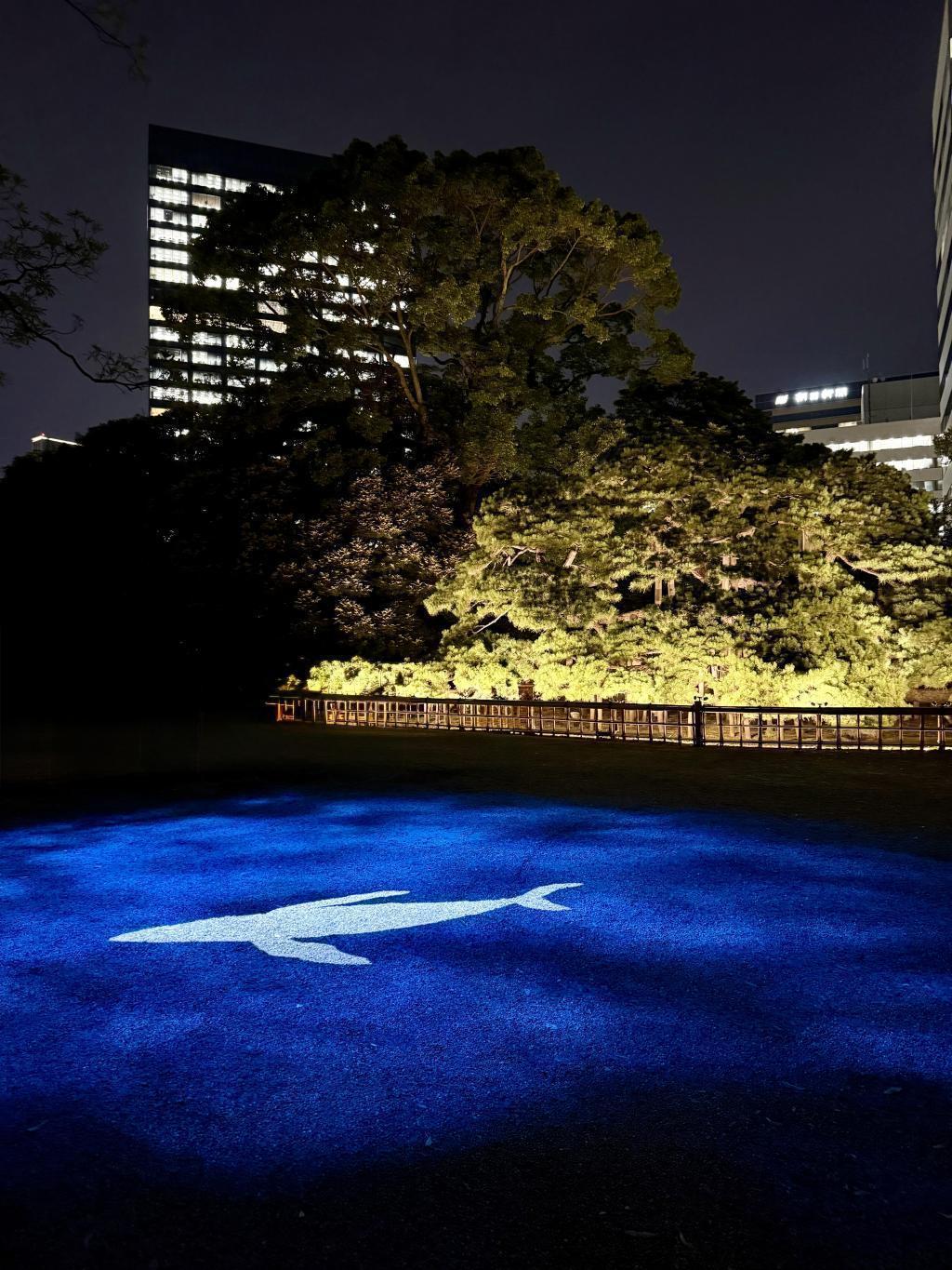  かつて将軍も愉しんだ「十三夜」を「浜御殿」で！　～浜離宮でお月見散歩～