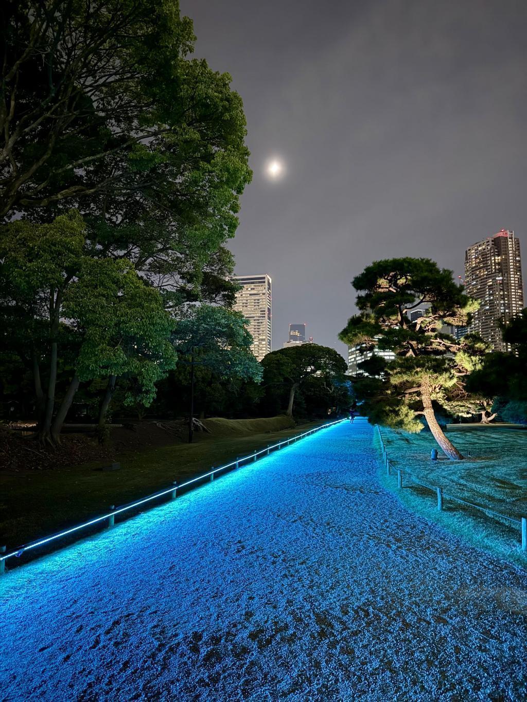  かつて将軍も愉しんだ「十三夜」を「浜御殿」で！　～浜離宮でお月見散歩～