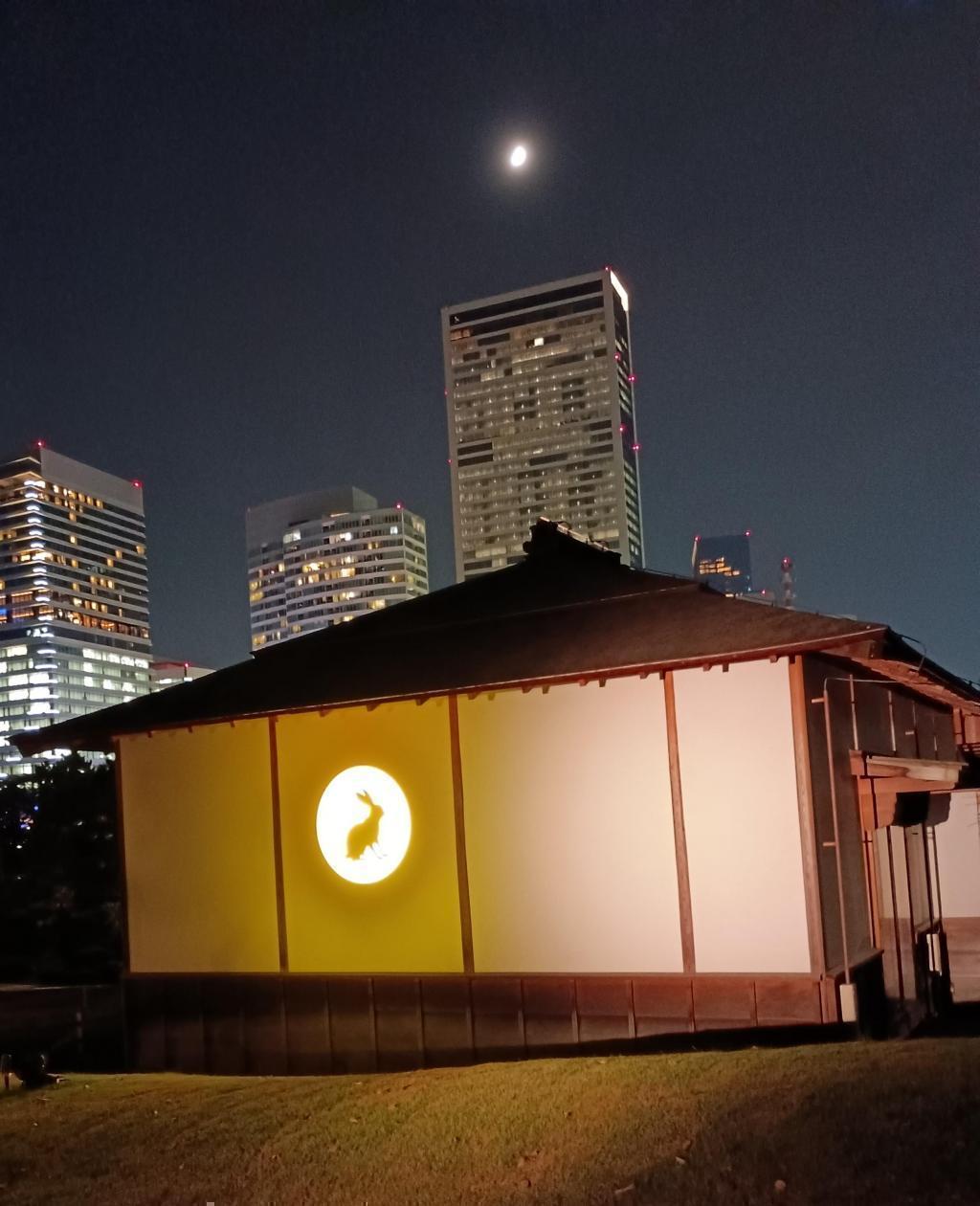 十三夜の月とうさぎのシルエットが素敵です！ 浜離宮『栗名月・十三夜』お月見散歩
ライトアップの幻想的な光と影の演出を愉しもう！
2025・10/31(金)-11/5(水)