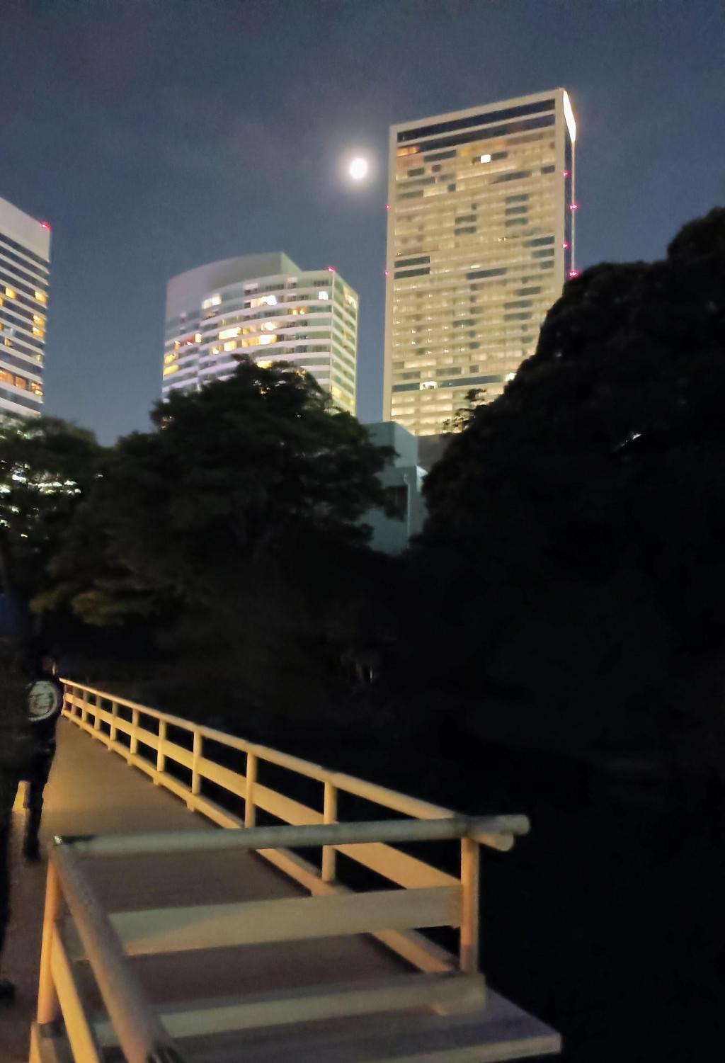 ビルの合間から覗く十三夜の月も素敵ですね！ 浜離宮『栗名月・十三夜』お月見散歩
ライトアップの幻想的な光と影の演出を愉しもう！
2025・10/31(金)-11/5(水)