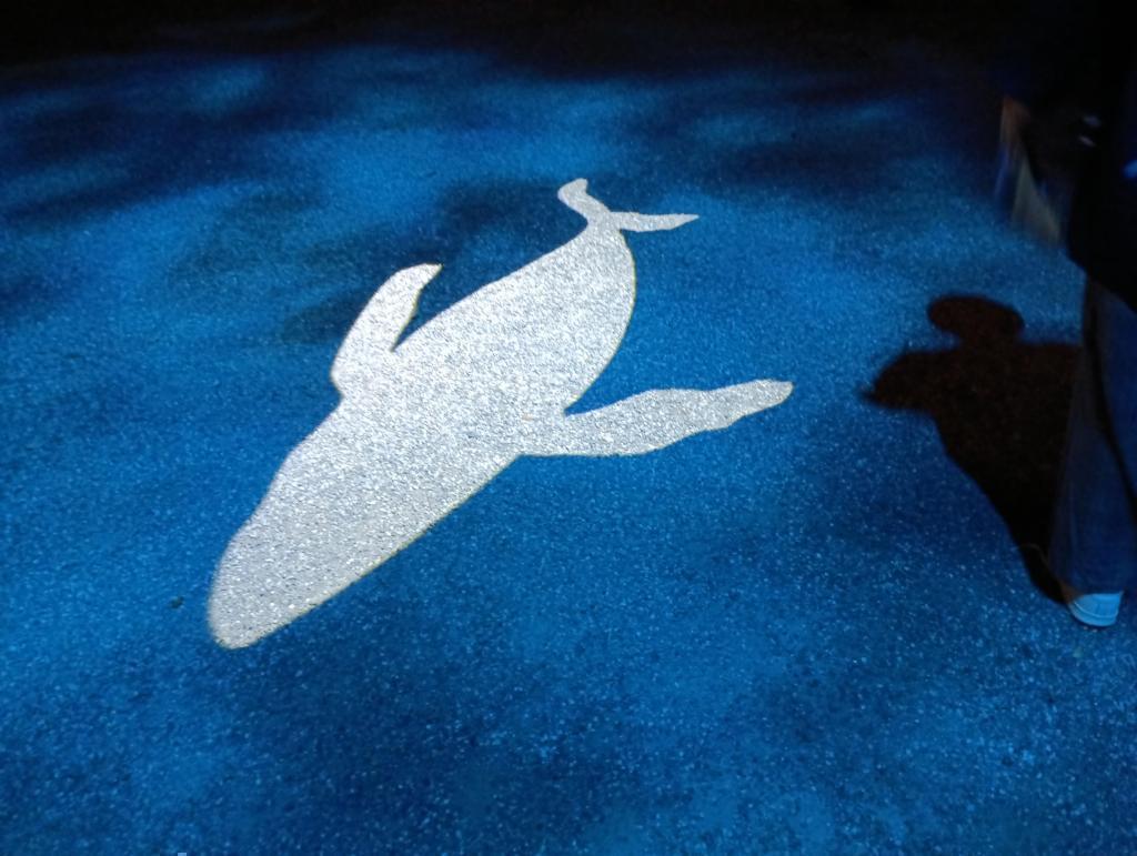 『クジラのシルエット』 浜離宮『栗名月・十三夜』お月見散歩
ライトアップの幻想的な光と影の演出を愉しもう！
2025・10/31(金)-11/5(水)