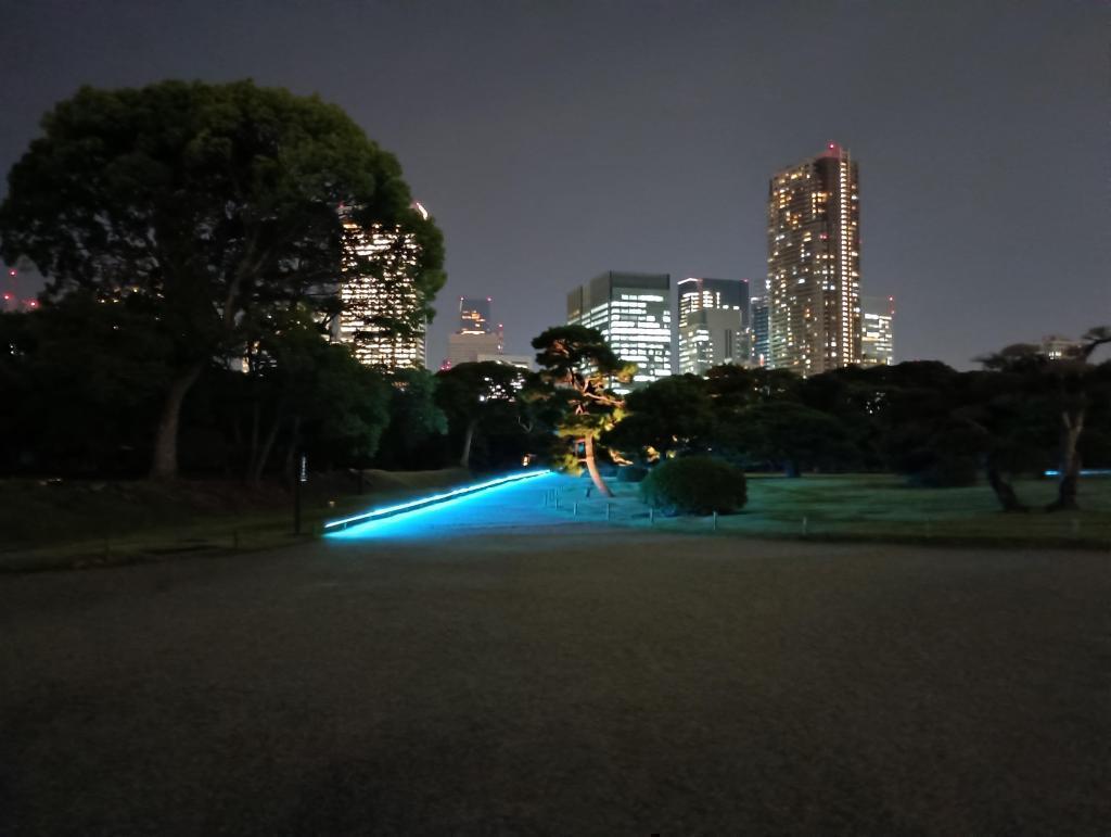 馬場跡に映し出されるライトはブルーからの変化をお楽しみに！ 浜離宮『栗名月・十三夜』お月見散歩
ライトアップの幻想的な光と影の演出を愉しもう！
2025・10/31(金)-11/5(水)