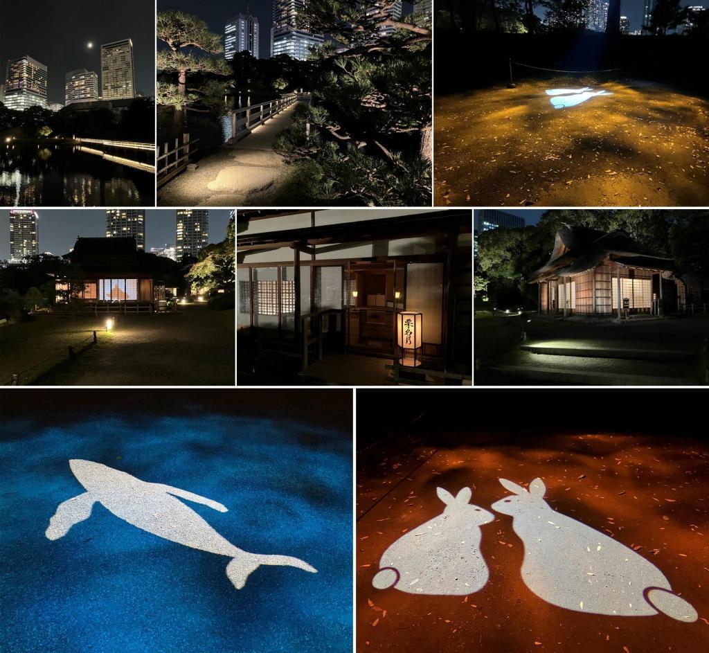  Exclusive Moon-Viewing Experience @ Hamarikyu Gardens
Available Only Until November 5th!