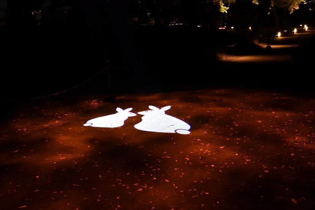  Moon Viewing at Hama-rikyu Gardens on an Autumn Night
