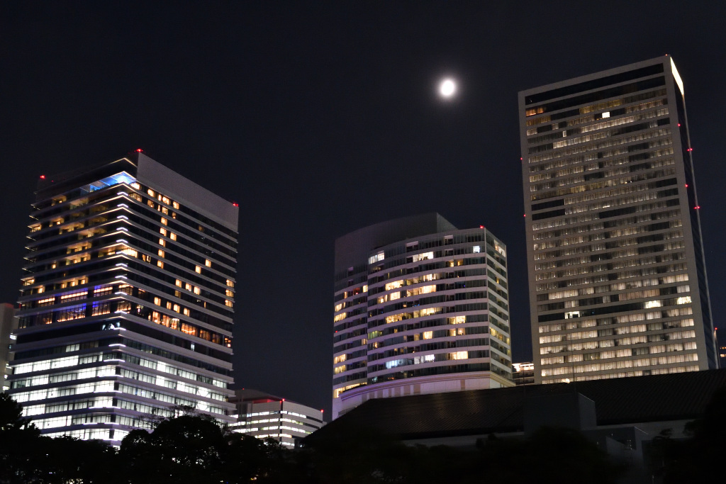  Moon Viewing at Hama-rikyu Gardens on an Autumn Night