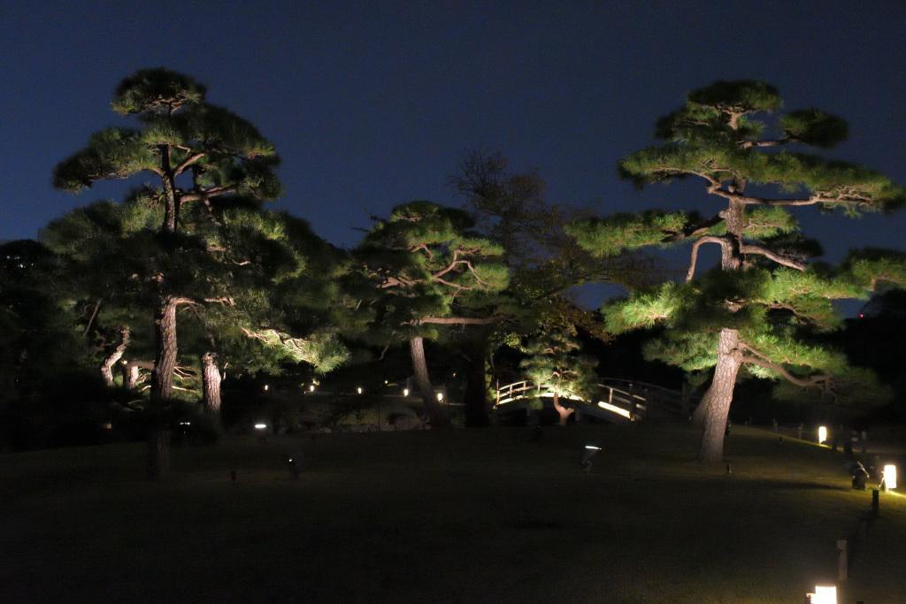  Moon Viewing at Hama-rikyu Gardens on an Autumn Night