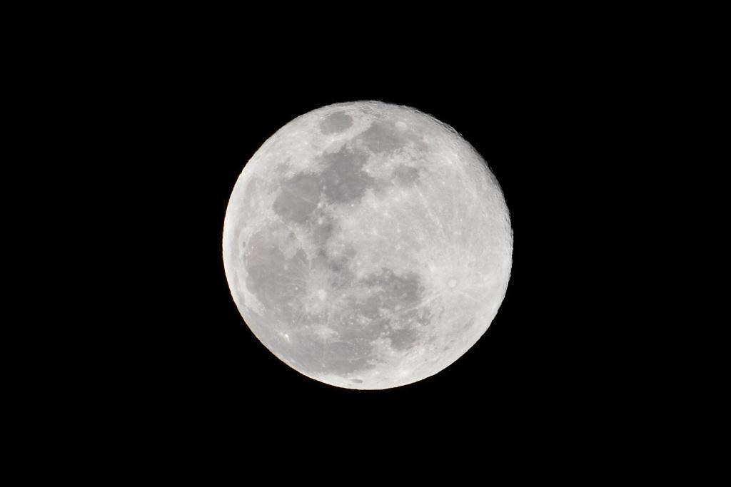  Moon Viewing at Hama-rikyu Gardens on an Autumn Night