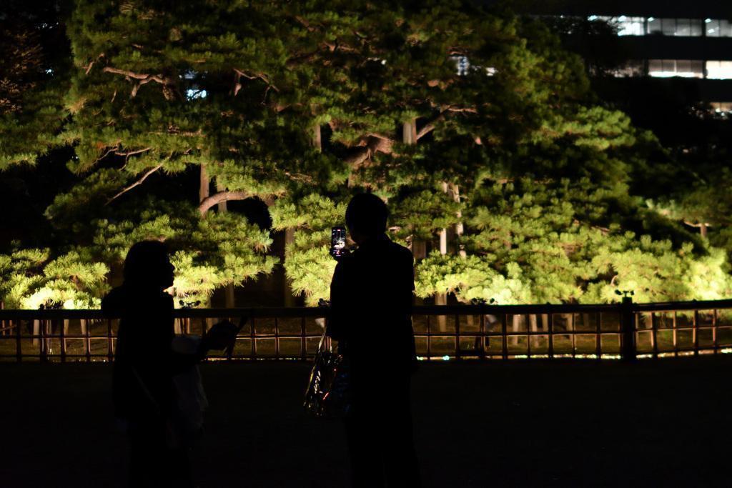  Moon Viewing at Hama-rikyu Gardens on an Autumn Night