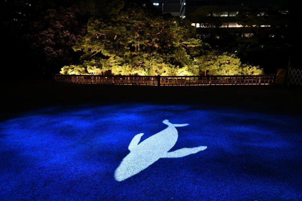  Moon Viewing at Hama-rikyu Gardens on an Autumn Night