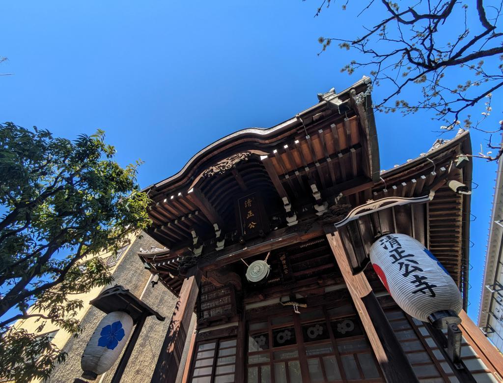  浜町に咲く、江戸の面影と春の鈴