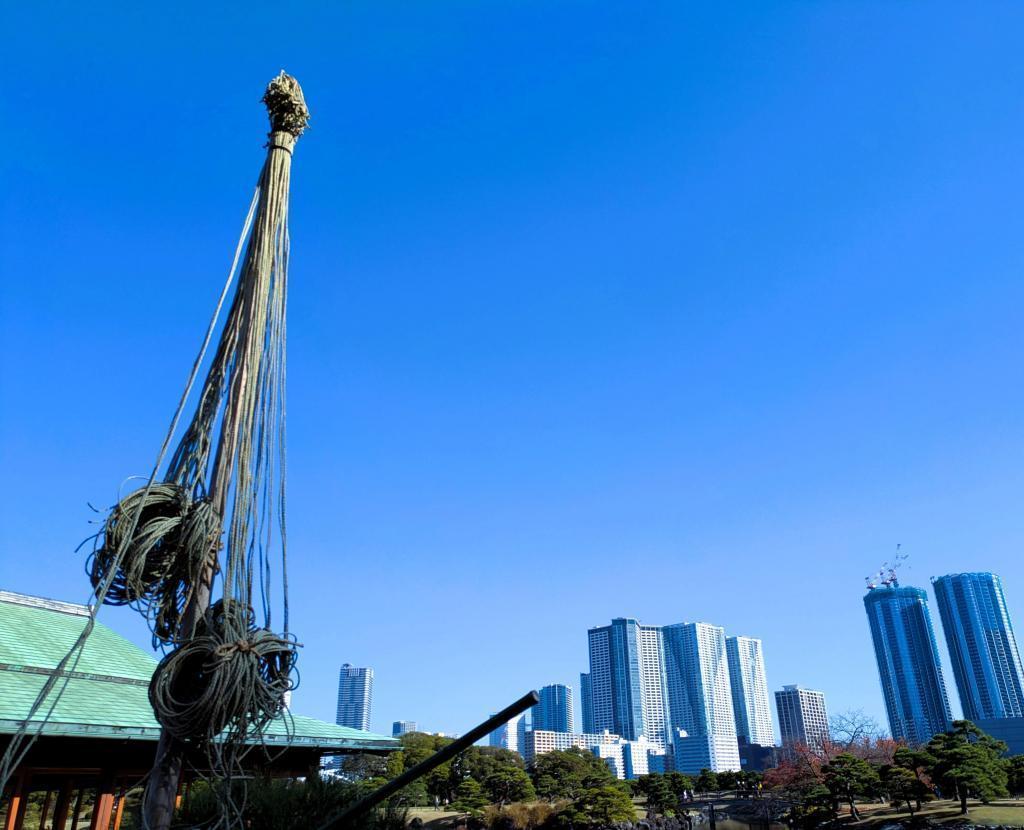  冬へ備える庭園の情景