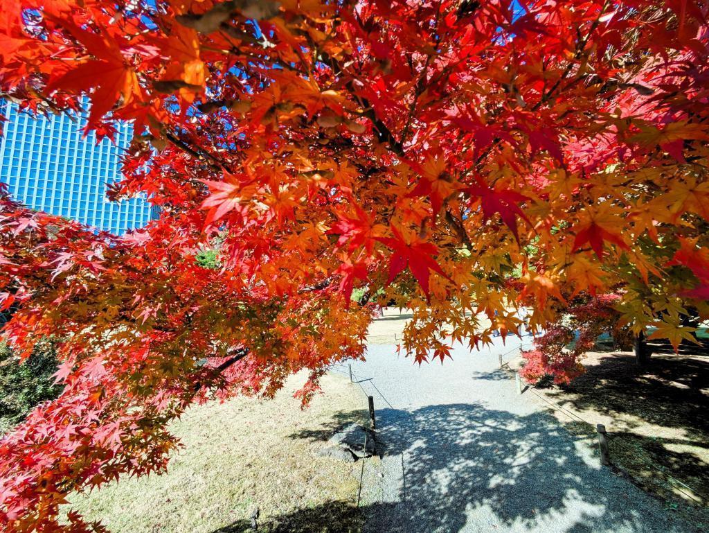  冬へ備える庭園の情景