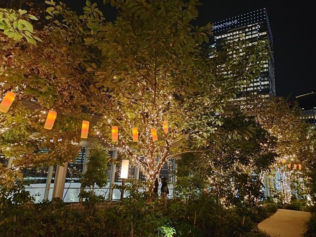 Illumination TERRACE：　5F　YAESU TERRACE クリスマスイベント「MIDTOWN YAESU CHRISTMAS 2025」開催中（東京ミッドタウン八重洲）：　11月13日(木)～12月25日(木)（11:00～23:00、ライトアップ16:00～）