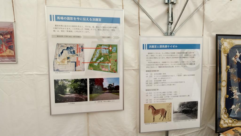 武芸鍛錬の場でもあった浜離宮でオランダ人から西洋馬術を習う 浜離宮に本物の馬が来た。