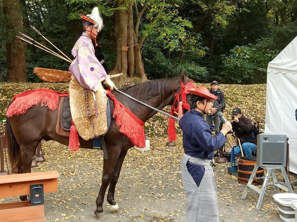  浜離宮に本物の馬が来た。