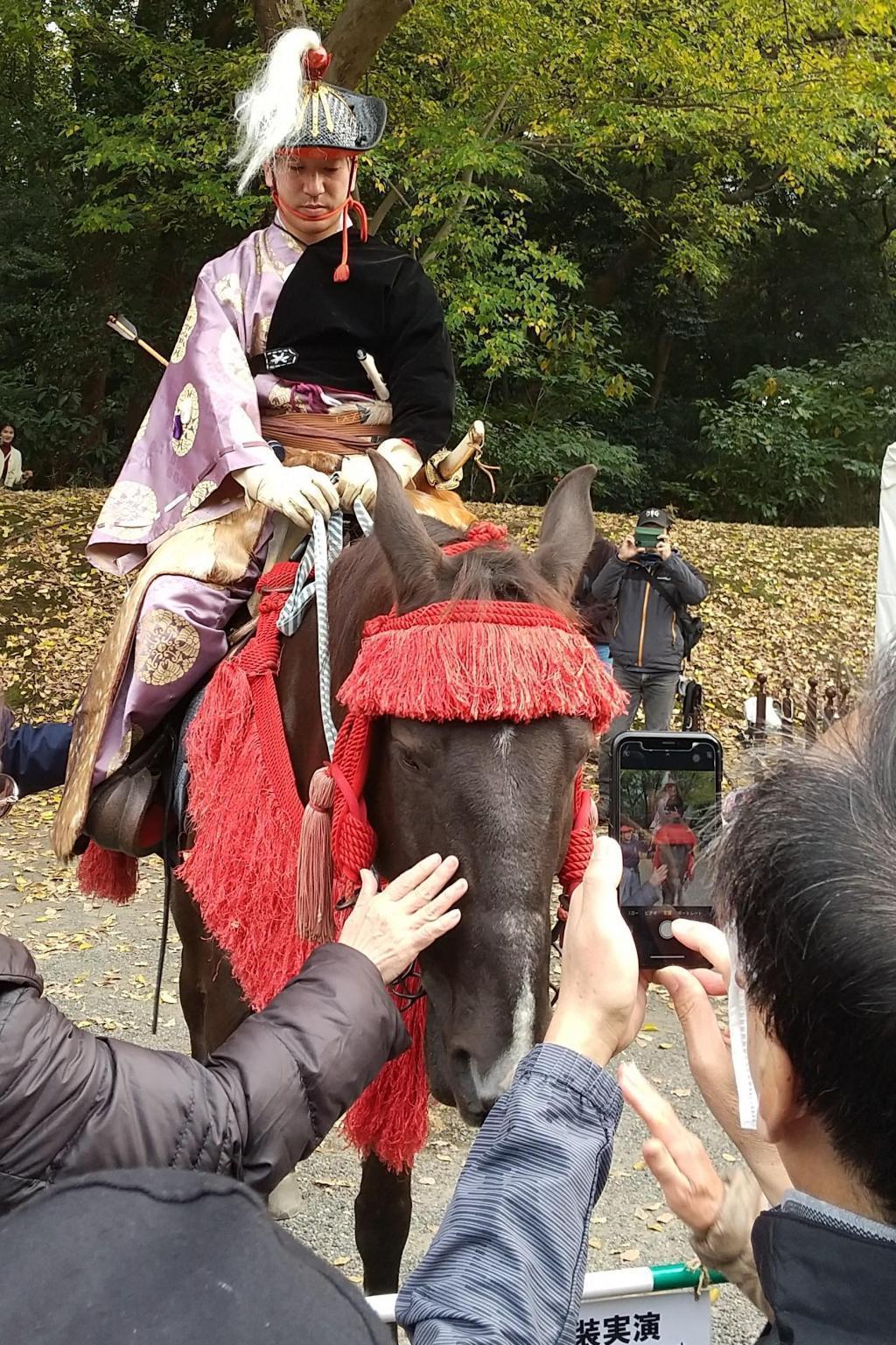 最後に馬の鼻面をなでなで 浜離宮に本物の馬が来た。