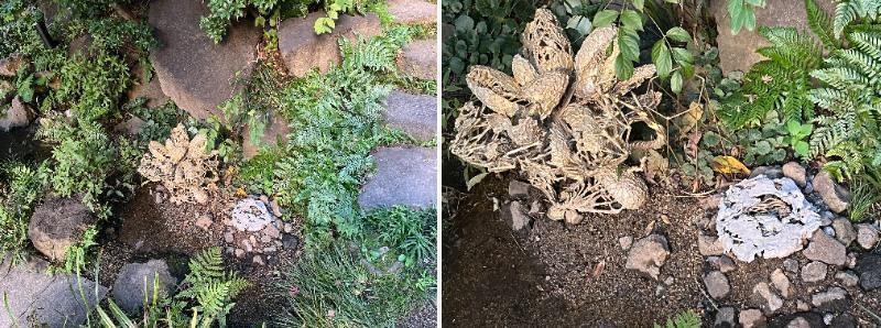 もしかしての石 街の路地にアートが！TOKYO BIENNALE 2025
スキマプロジェクト