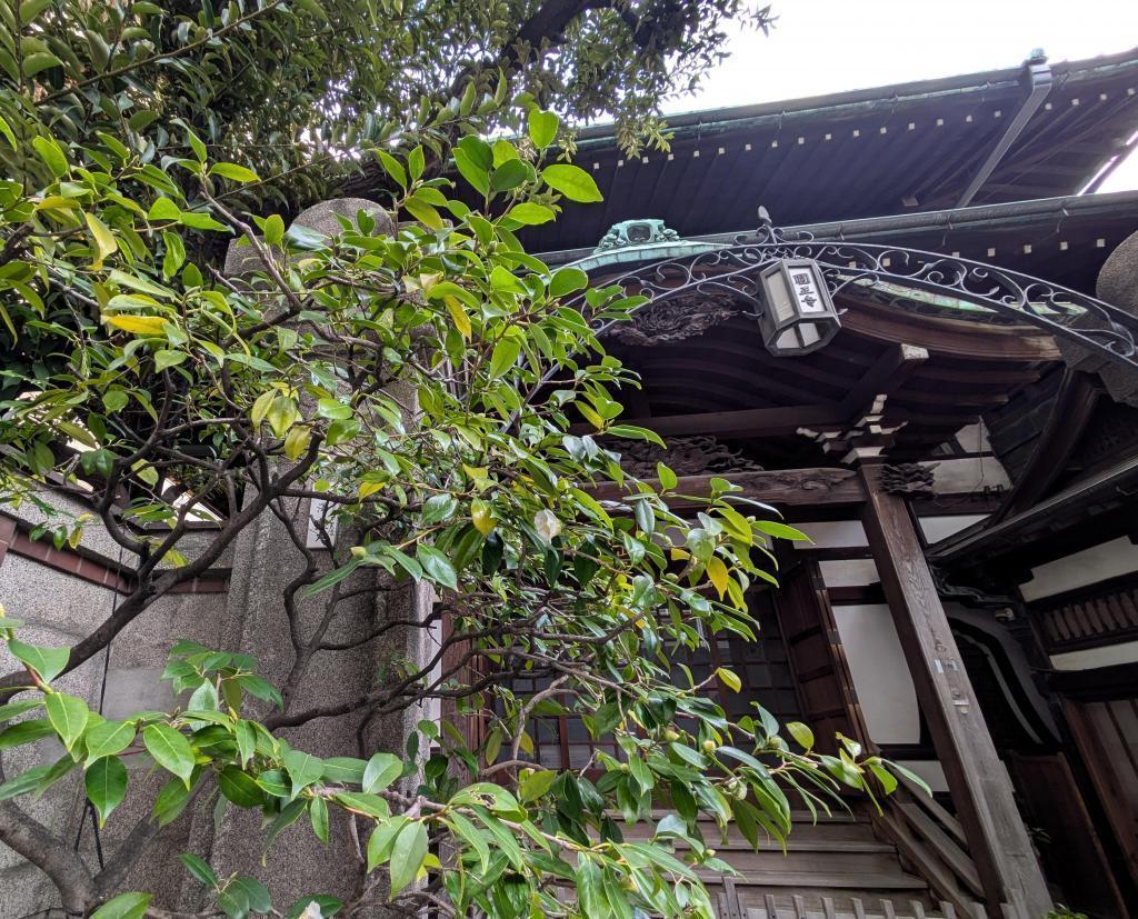  「侘び寂び」と異文化交流