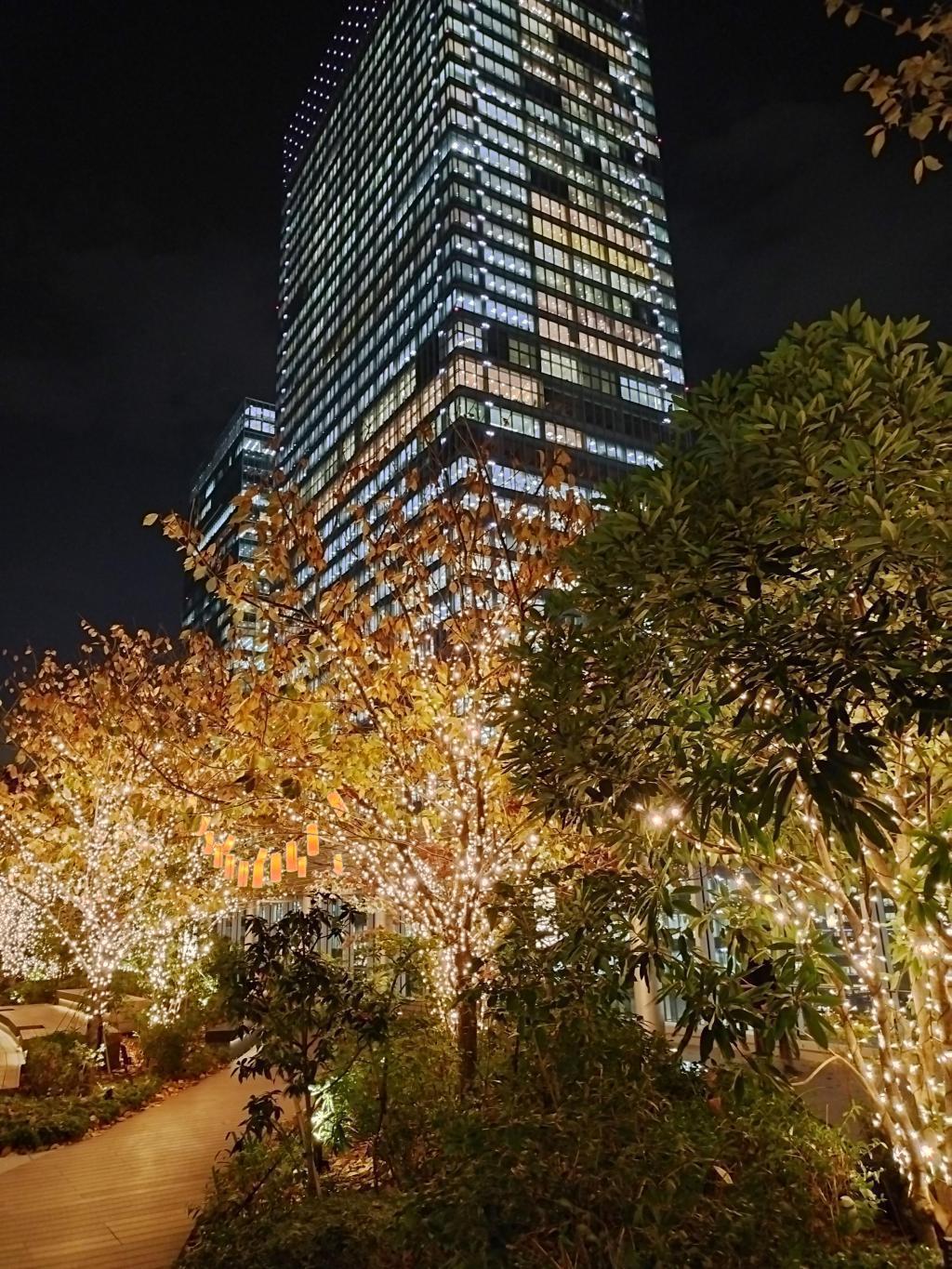  【中央区のイルミネーションスポット】をご紹介します。　
クリスマスツリーは残り期間わずか、お見逃しなく！