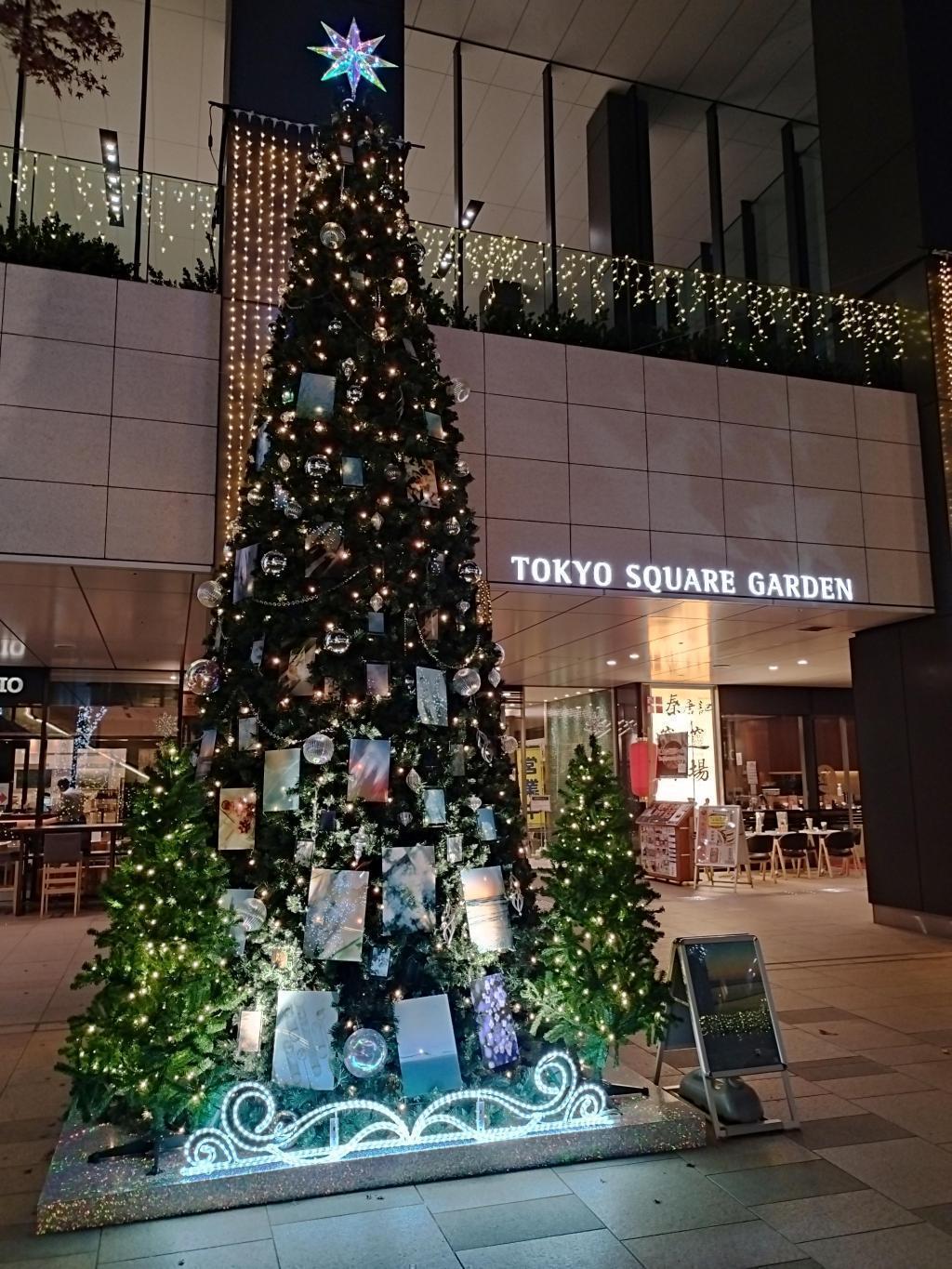  【中央区のイルミネーションスポット】をご紹介します。　
クリスマスツリーは残り期間わずか、お見逃しなく！